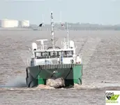 25m / 12 pax Crew Transfer Vessel for Sale / #1078333