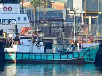 Combination Purse Seiner / Tuna Pole Fishing