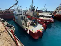 2012 Multicat For Sale